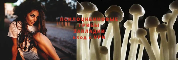 ALPHA PVP Надым