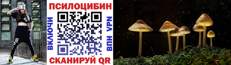 Псилоцибиновые грибы Psilocybe  Купить  Улан-Удэ 